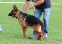 Angie della Val Sangro